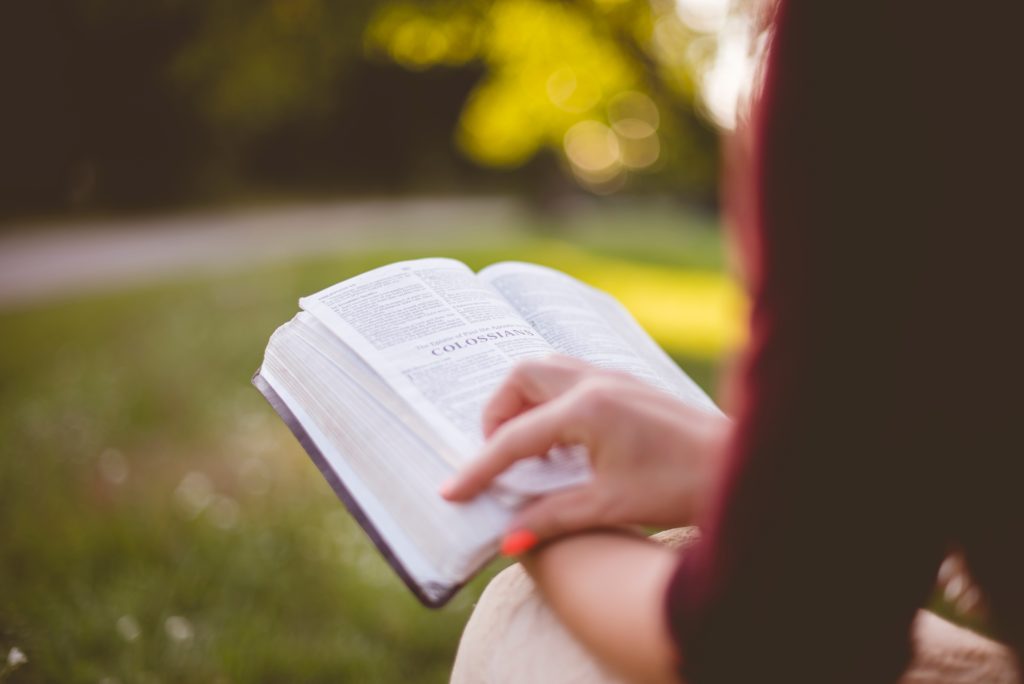 woman in a red sweater reading a book outdoors