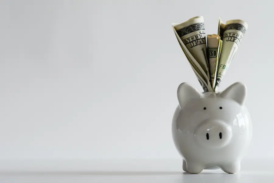 close-up shot of dollar bills stuffed in a white piggy bank