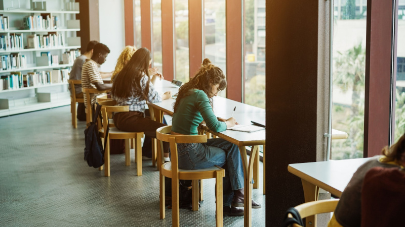 grad students studying next to the window in a school library